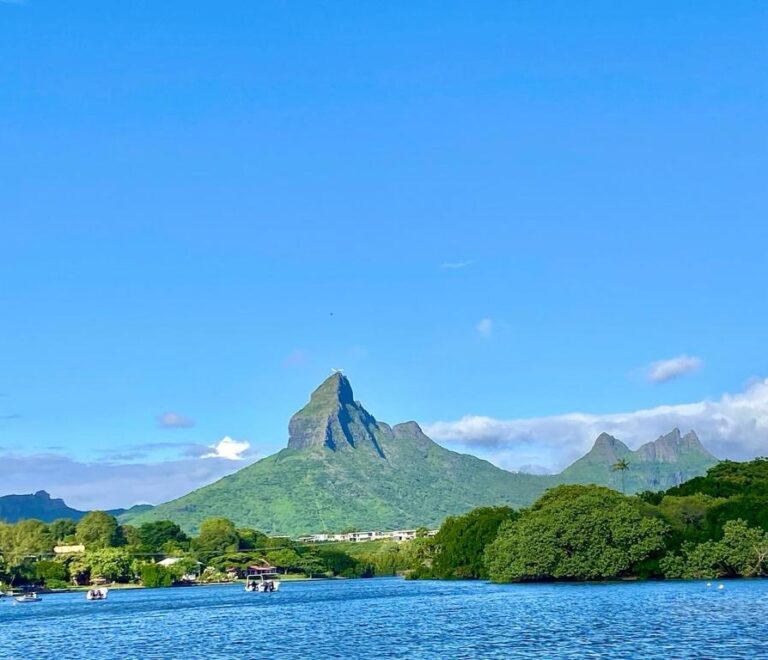 Tropical Bay Serenade