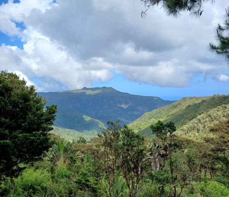 Verdant Mountain Majesty