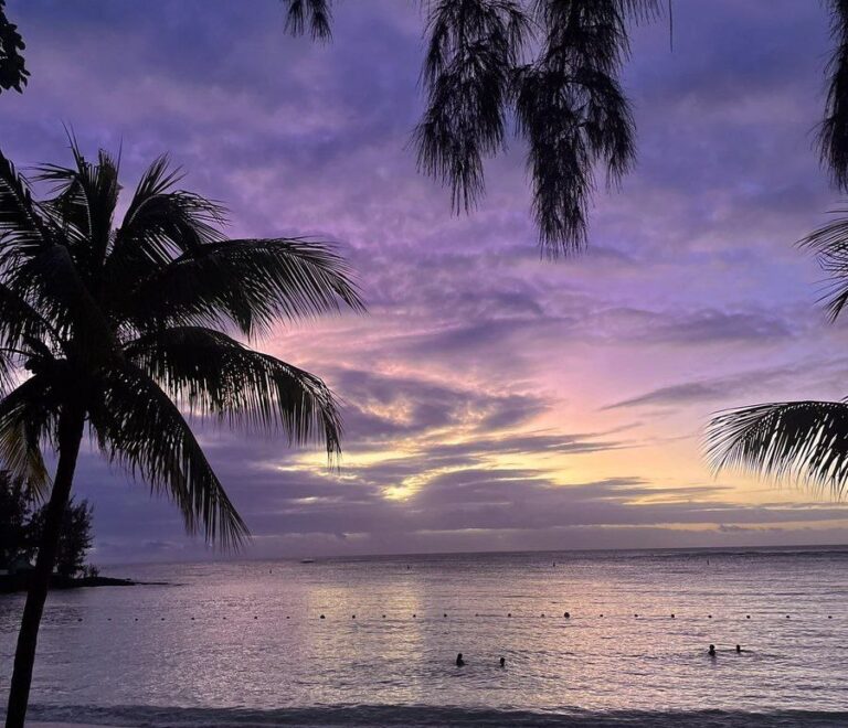 Tropical Tranquility